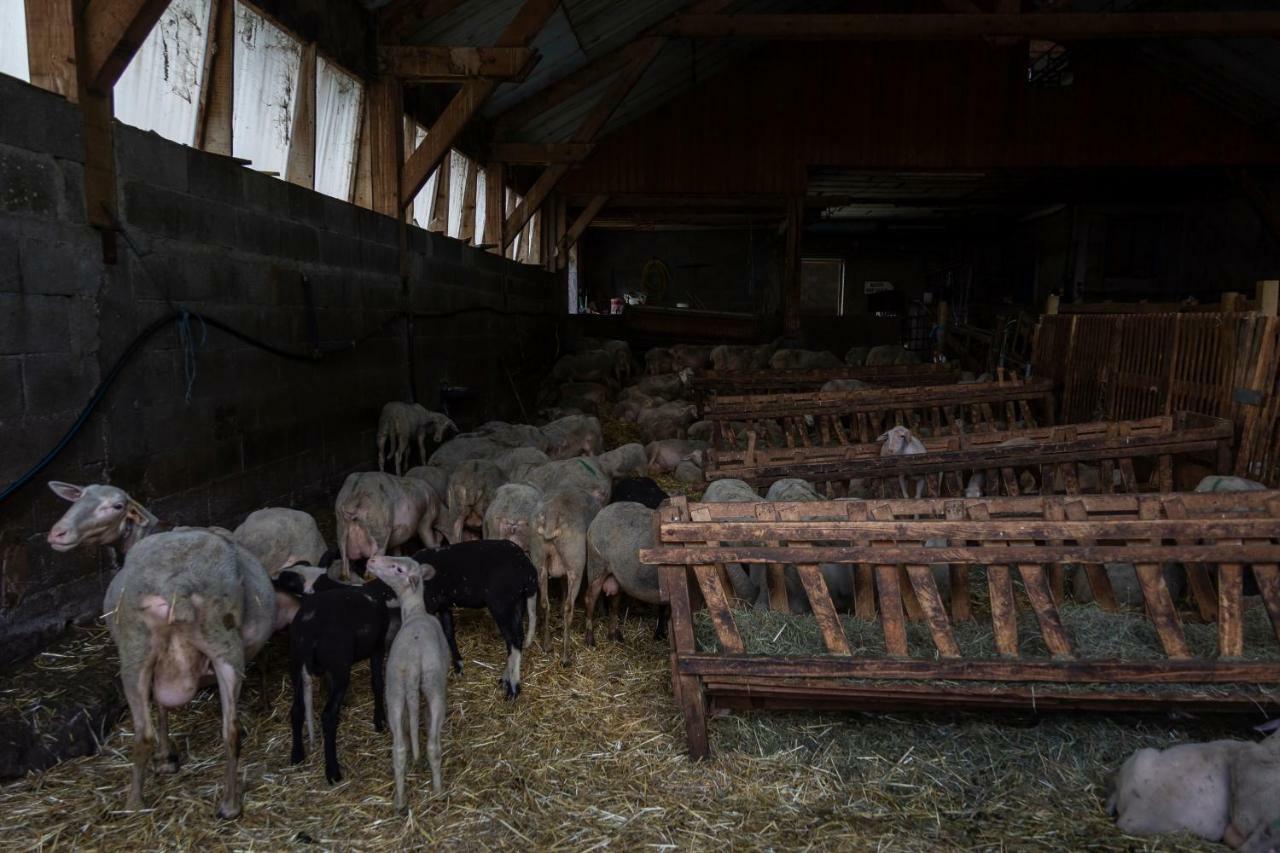 Le Refuge de Serre-Chevalier, dans un esprit chalet, commune de Le Monêtier-les-Bains Extérieur photo